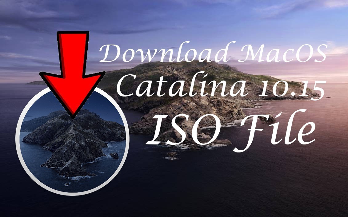 Macos catalina download timeout
